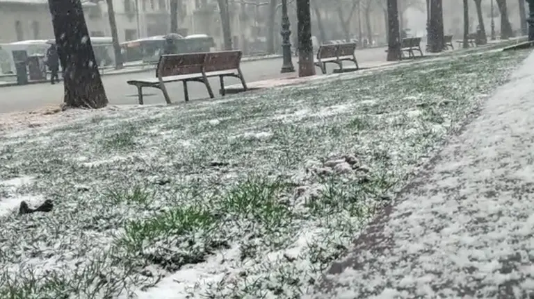 La nevada caída en Pamplona tiñe de blanco las calles de la capital navarra, en la imagen, el Paseo Sarasate cubierto por la nieve. NAVARRA.COM