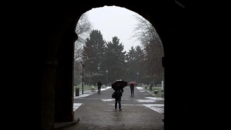Nieve en Pamplona. PABLO LASAOSA