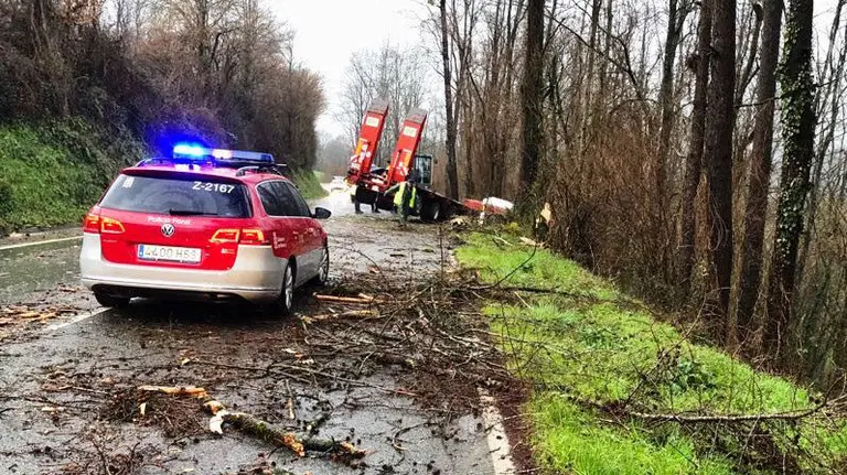 Unas ramas en la calzada causan la salida de vía de un remolque en Amaiur POLICÍA FORAL