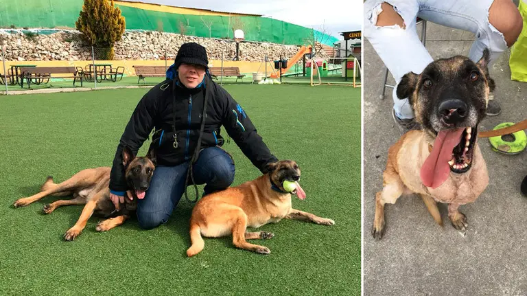 Vespa con su nueva familia en San Adrián. CEDIDAS