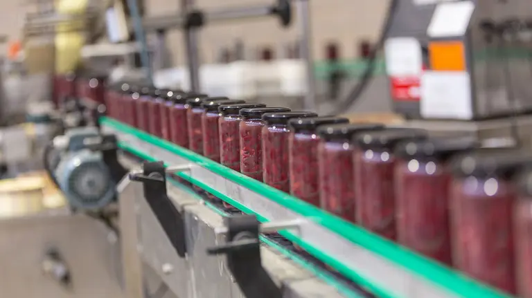 Algunos de los botes de pimientos del Piquillo de Lodosa que salen de la fábrica de Conservas El Navarrico. CEDIDA