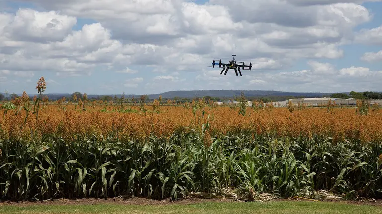 Imagen de un dron sobrevolando un campo ARCHIVO