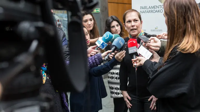 Pleno del Parlamento de Navarra (01). IÑIGO ALZUGARAY