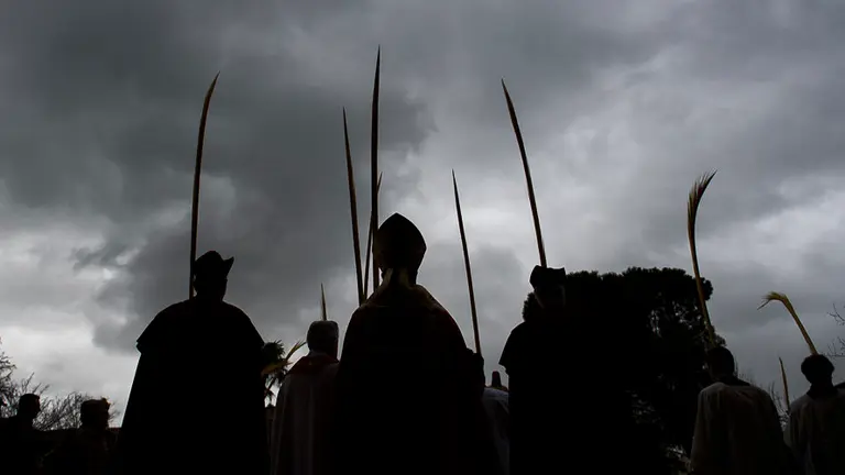 Procesión de Donmingo de Ramos en Pamplona. PABLO LASAOSA 15