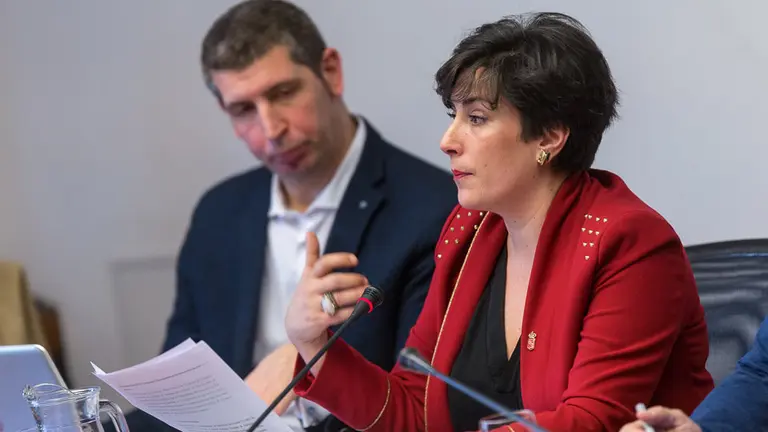 Comparecencia de María Solana en la Comisión de Educación del Parlamento de Navarra (09). IÑIGO ALZUGARAY