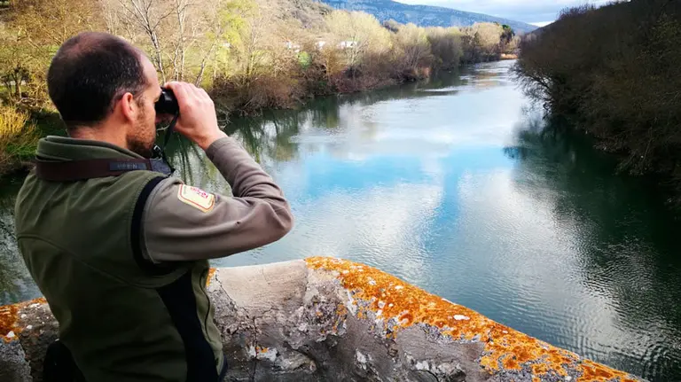Guarderío Forestal de Navarra vigila el vertido de gasoil en el río Arga tras el accidente de un camión en la ronda de Pamplona. TWITTER