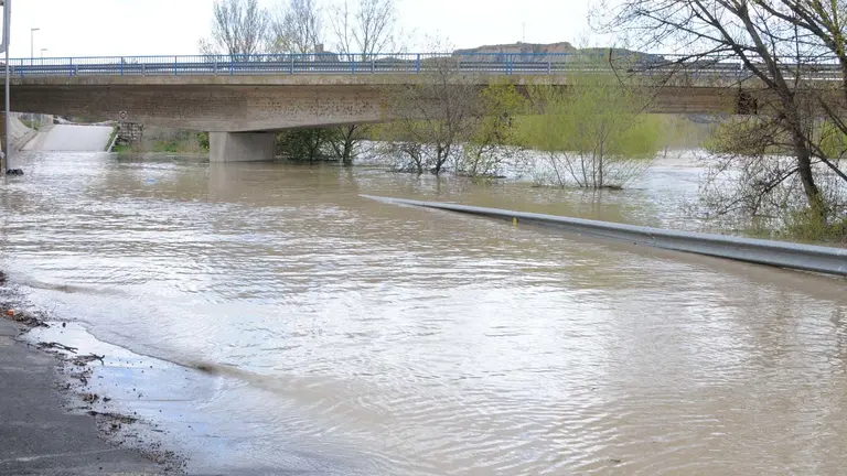 El río Aragón a su paso por Caparroso AMAYA LUQUI (4)