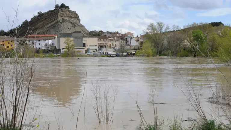 El río Aragón a su paso por Caparroso AMAYA LUQUI (6)