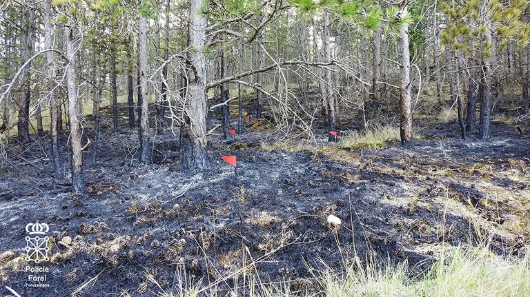 Incendio en Puente la Reina que afectó a dos hectáreas de terreno. POLICÍA FORAL