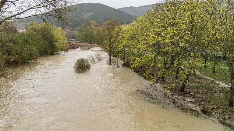 El río Ulzama a su paso por Arre (02). IÑIGO ALZUGARAY