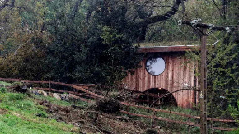 El árbol que ha caído en San Sebastián dejando grave a un niño de 5 años EFE