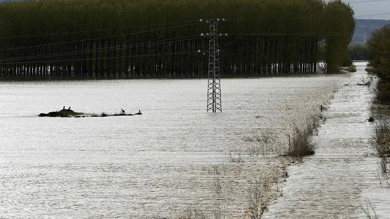 GRAF2868. TUDELA (NAVARRA), 13/04/2018.- Lugar cercano a la localidad de Castejón donde se han roto los diques que se encontraban en el margen de rio ocasionando la inundación de los campos de cultivo y de la carretera N-113 que permanece cortada hacia Castejón tras el desbordamiento del Rio Ebro.La alerta por inundaciones se mantiene a estas horas en Navarra en dos estaciones de aforo, la del Ebro en Castejón y la del Ega en Andosilla, mientras que en Pamplona desciende el caudal de los ríos y se va recuperando la normalidad tras los desbordamientos de ayer. EFE/ Jesús Diges