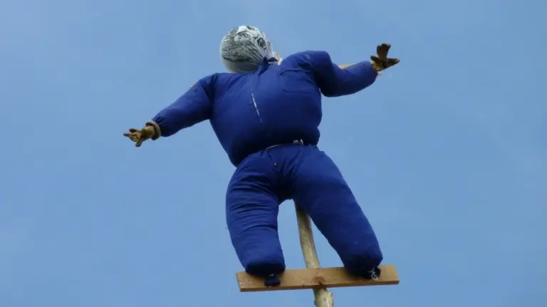 El mayo clavado en lo alto del chopo