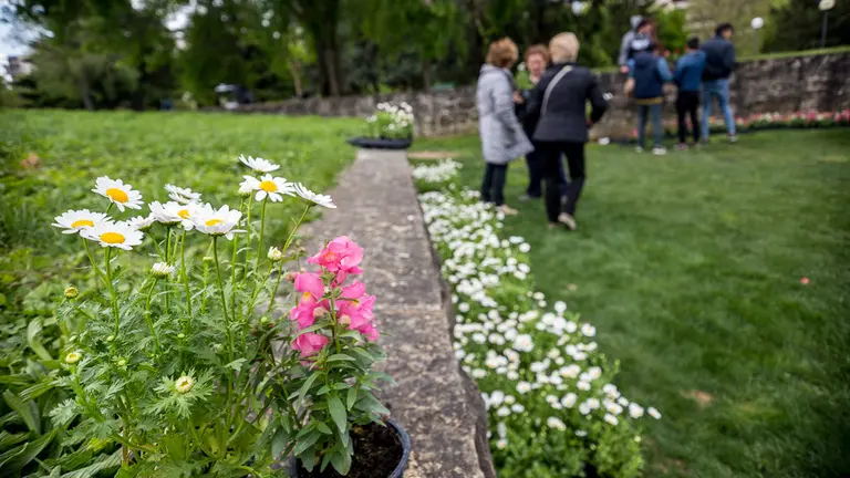 Tras la inauguración del proyecto Naturart, los alumnos participantes han sido obsequiados con diferentes plantas ofrecidas por el servicio de jardinería del Ayuntam - copia (59)