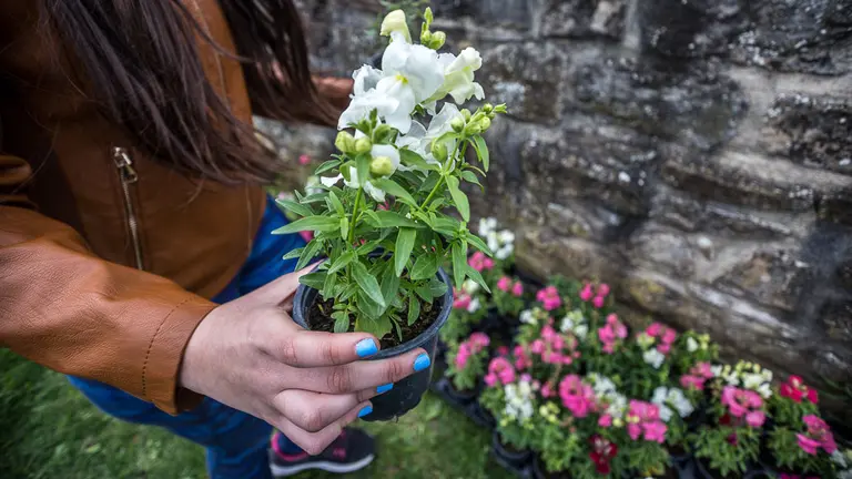 Tras la inauguración del proyecto Naturart, los alumnos participantes han sido obsequiados con diferentes plantas ofrecidas por el servicio de jardinería del Ayuntam - copia