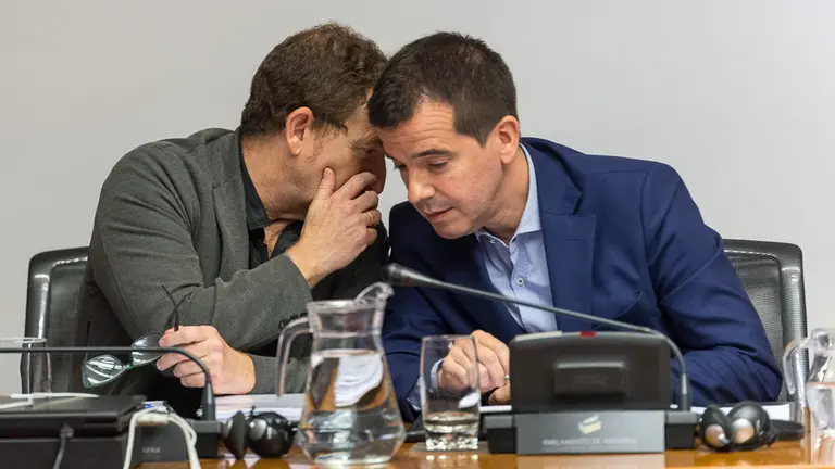 El delegado del Gobierno de Navarra en Bruselas, Mikel Irujo, comparece en el Parlamento (06). IÑIGO ALZUGARAY