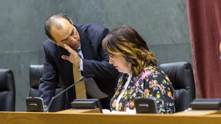 Sesión plenaria de control al Gobierno en el Parlamento de Navarra (28). IÑIGO ALZUGARAY