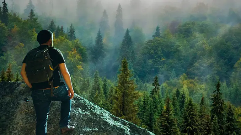 Un hombre cruza un bosque