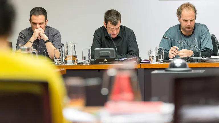 Comisión especial para la elaboración de una nueva Ley Foral del Euskera en la que comparecen representantes de los sindicatos ELA y LAB (11). IÑIGO ALZUGARAY