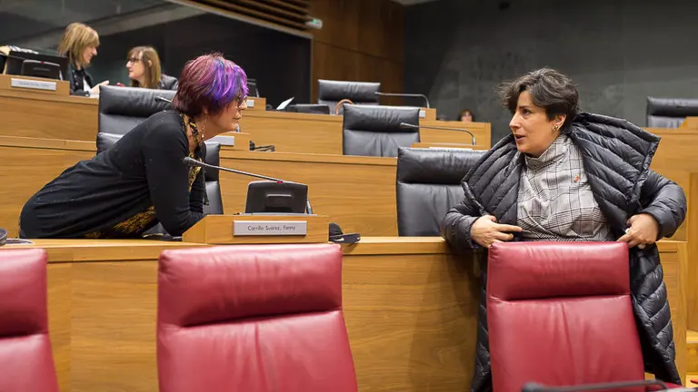 Tere Sáez, de Podemos habla con María Solana, Consejera de Educación. PABLO LASAOSA