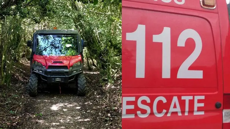 Peregrina americana tiene un accidente