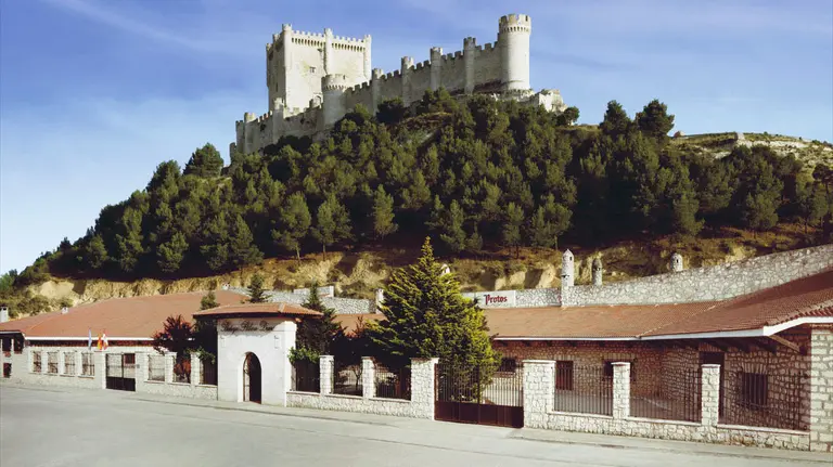 Bodega histórica de Protos CEDIDA