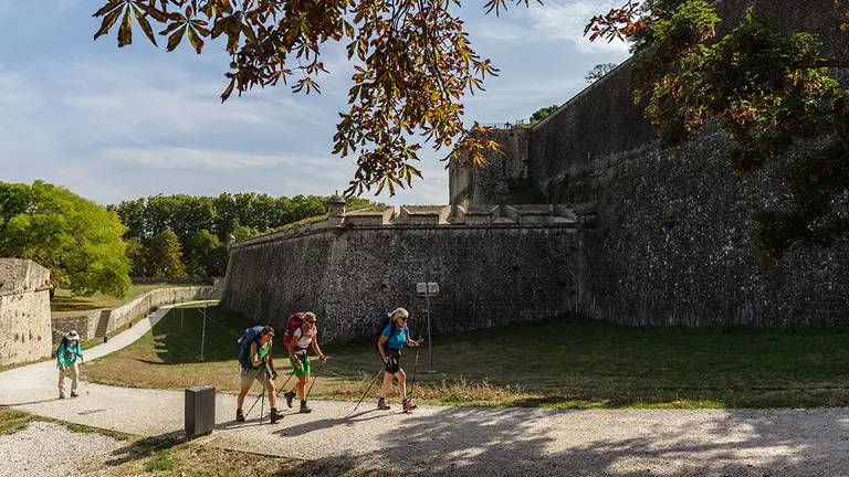 Imagen de un grupo de peregrinos realizando en el Camino de Santiago a su paso por Pamplona GOBIERNO FORAL