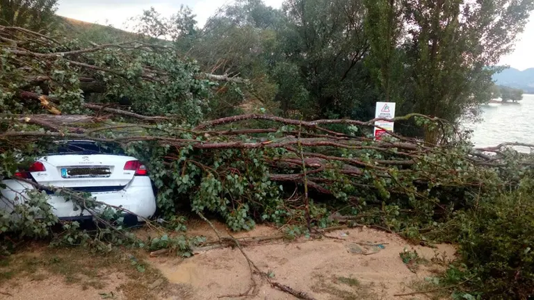 Árbol caído sobre un coche en el pantano de Alloz BOMBEROS DE NAVARRA