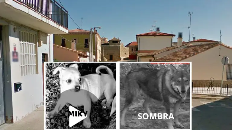 Imagen de la localidad navarra de Pitillas junto a los dos perros robados. POLICÍA FORAL