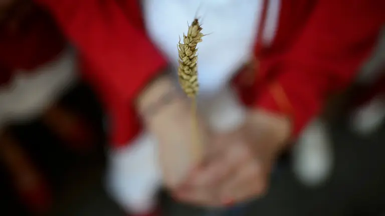 Procesión de San Fermín el 7 de julio de 2018. PABLO LASAOSA 11