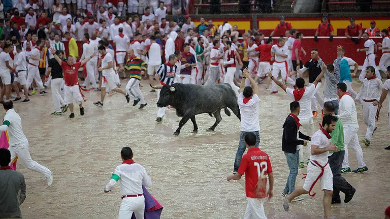 El toro 'Sentido I', último toro en entrar a la plaza en el segundo encierro AINHOA GORRIZ (3)
