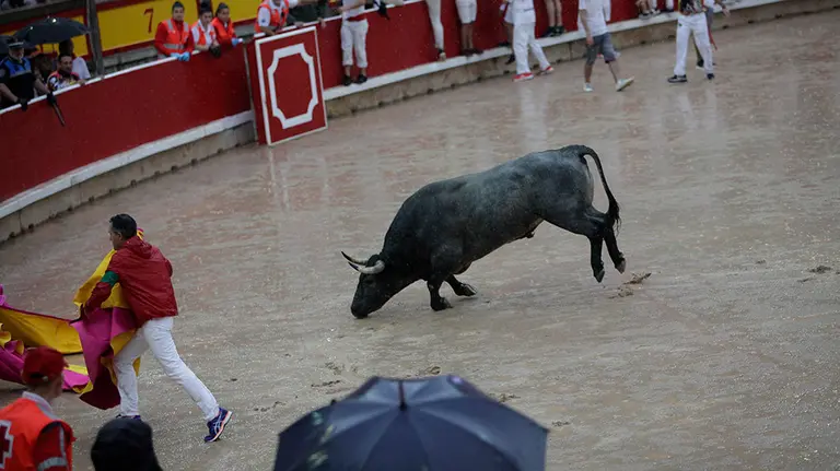 El toro 'Sentido I', último toro en entrar a la plaza en el segundo encierro AINHOA GORRIZ (10)