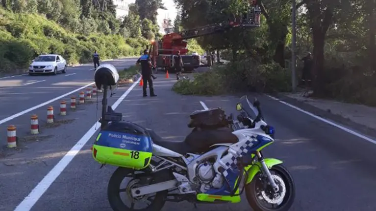 El corte de la subida de la cuesta Beloso en Pamplona por un árbol caído. POLICÍA MUNICIPAL