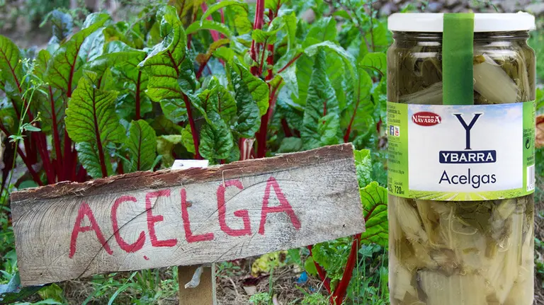 Imagen de un bote de acelgas en conserva de la marca navarra Ybarra, sobre la que se ha lanzado una alerta sanitaria por un lote que contiene estramonio FOTOMONTAJE