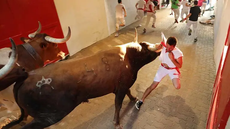 Cogida de un Miura a un joven en el callejón de la plaza de toros en el octavo encierro