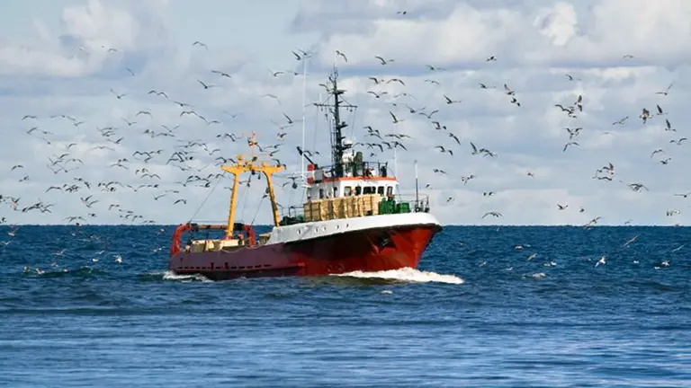 Una barco navega por el mar rodeado de gaviotas..