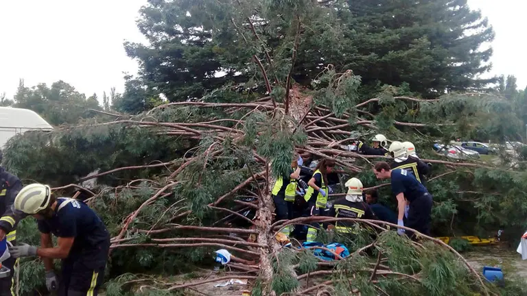Seis personas han resultado heridas en Pamplona al caer un árbol en el campus de la Universidad de Navarra. BOMBEROS DE NAVARRA (1)