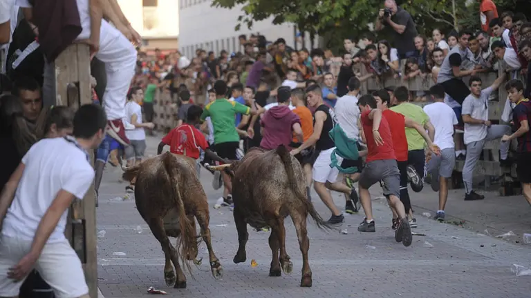 Un momento del encierro de Villava en el que ocurrió el percance. MIGUEL OSÉS