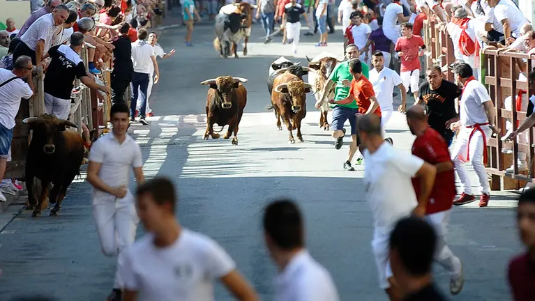 Segundo encierro de las fiestas de San Adrián de 201. MIGUEL OSÉS