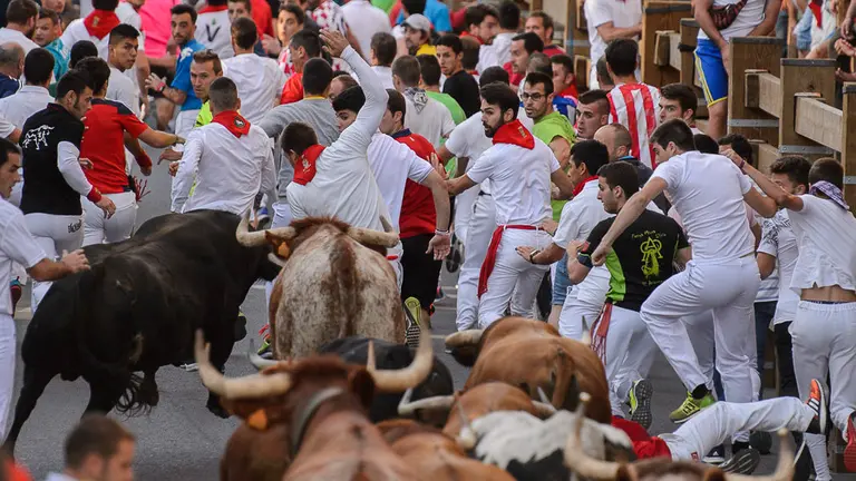 Cuarto encierro de las fiestas de Tudela 2018. PABLO LASAOSA 08