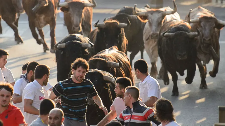 Penúltimo encierro de las fiestas de Tudela 2018. PABLO LASAOSA 02