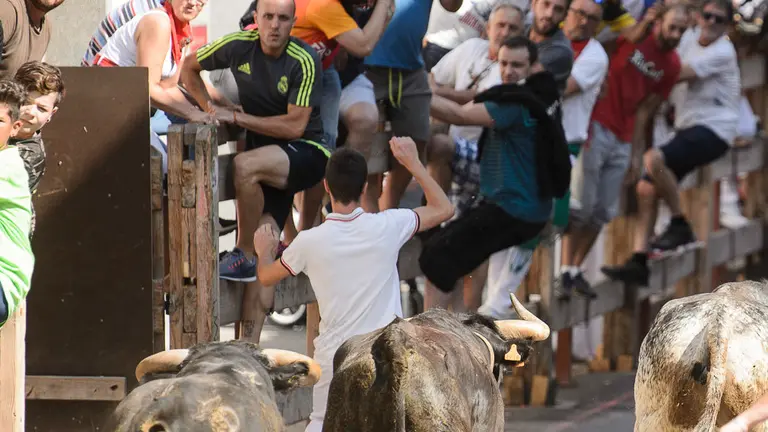 Encierro por las calles de San Adrián durante sus fiestas de 2018. PABLO LASAOSA 04