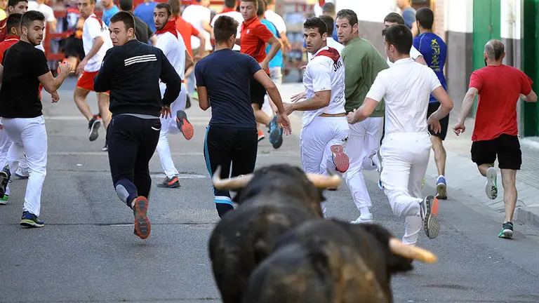 Primer encierro de las fiestas de Lodosa de 2018 con 4 novillos de la ganaderia navarra de El Pincha. MIGUEL OSÉS (5)