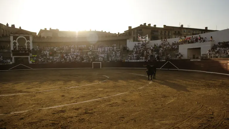Primera corrida de la feria de Estella de 2018. MIGUEL OSÉS_31