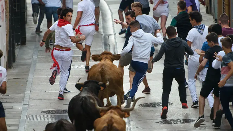 Tercer encierro de las fiestas de Estella de 2018. MIGUEL OSÉS_5