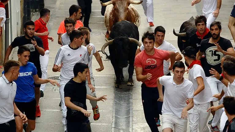 Primer encierro de novillos de las fiestas de Estella de 2018. MIGUEL OSÉS (12)