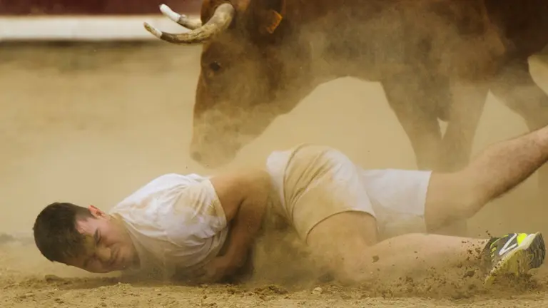 Peligrosa suelta de vacas en la plaza de Estella tras el encierro de novillos. MIGUEL OSÉS (3)