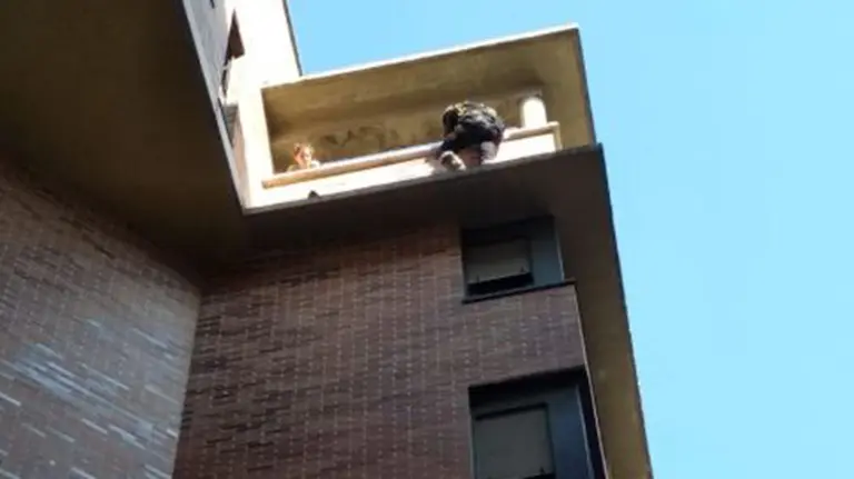 Rescate de un gato en Barañáin BOMBEROS DE NAVARRA