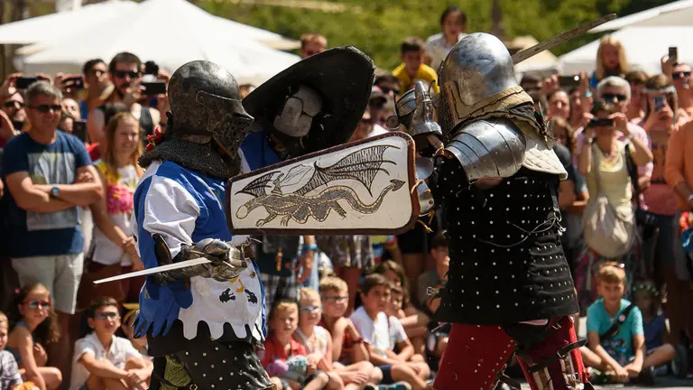 Jornadas medievales de Olite 2018. PABLO LASAOSA 10