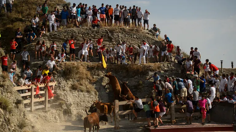 Encierro del estrecho en Arguedas durante las fiestas de 2018. PL08
